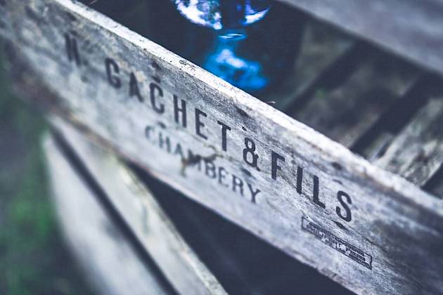 The quick brown fox jumps over